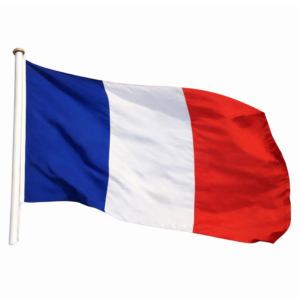Bandiera Francia Sventolante Alta Qualità