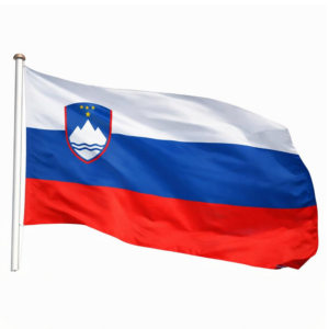 Bandiera Slovenia Sventolante Alta Qualità