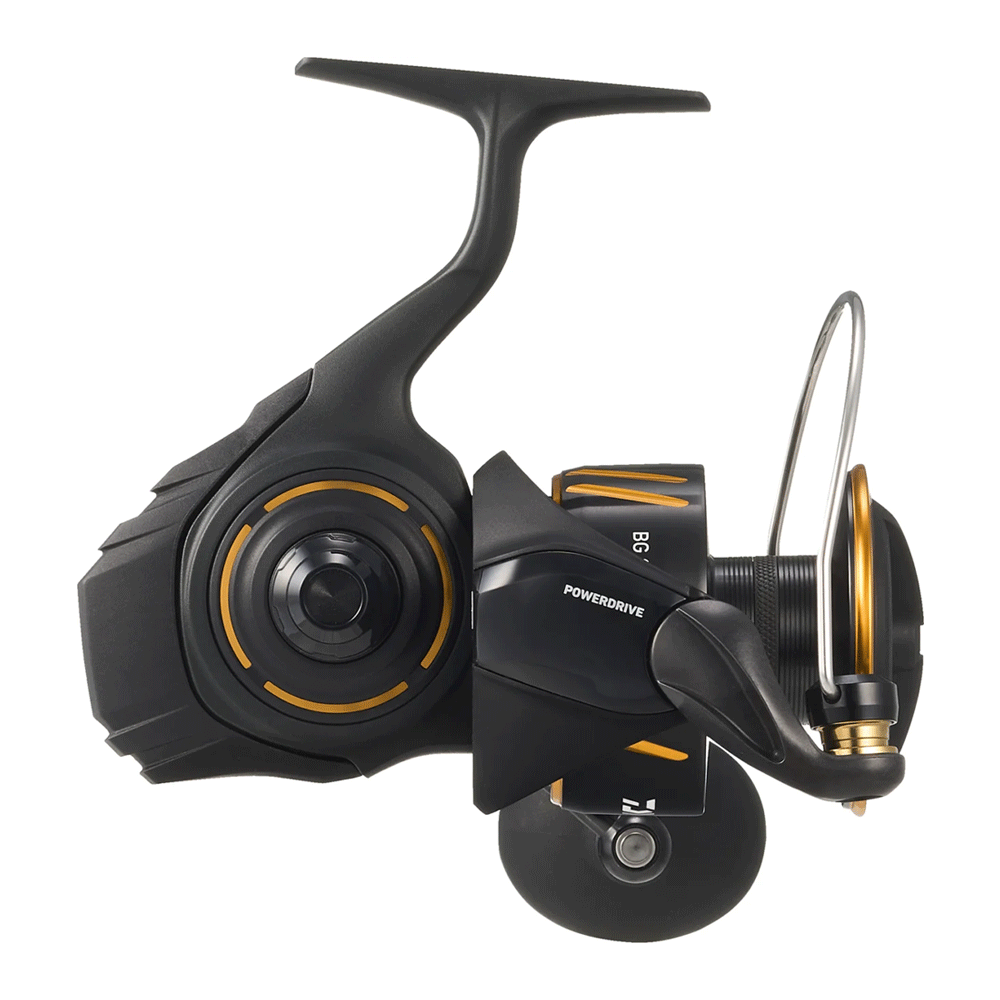 Daiwa 26 BG SW 5000 P - immagine 3