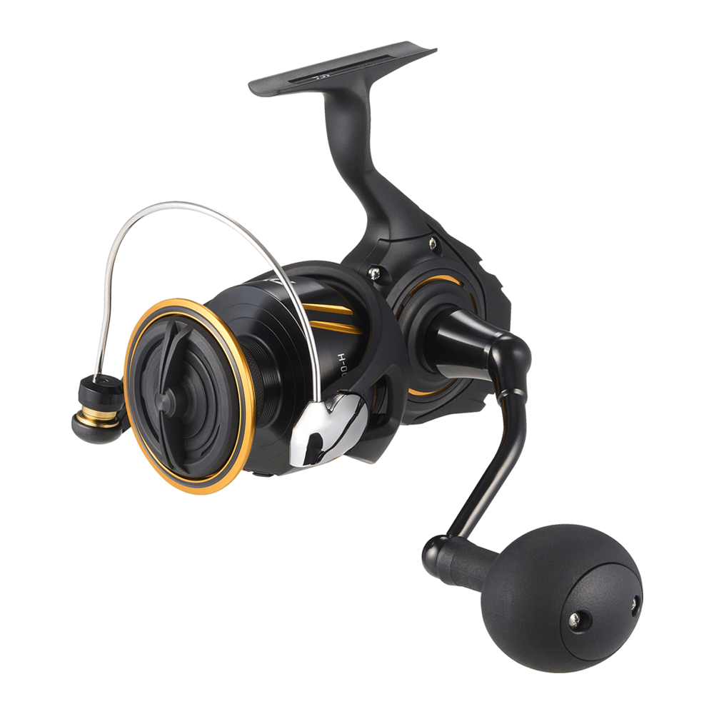 Daiwa 26 BG SW 5000 P - immagine 2